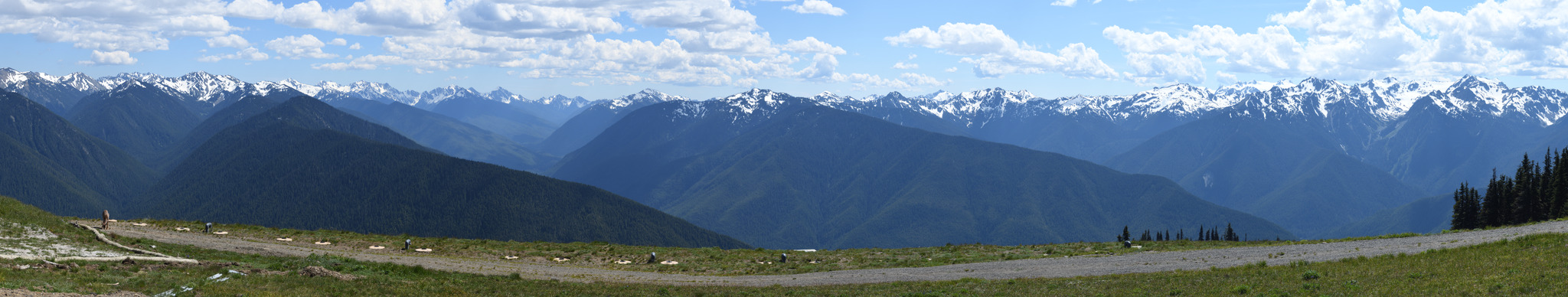 Olympic NP, Hurricane Ridge (2024)